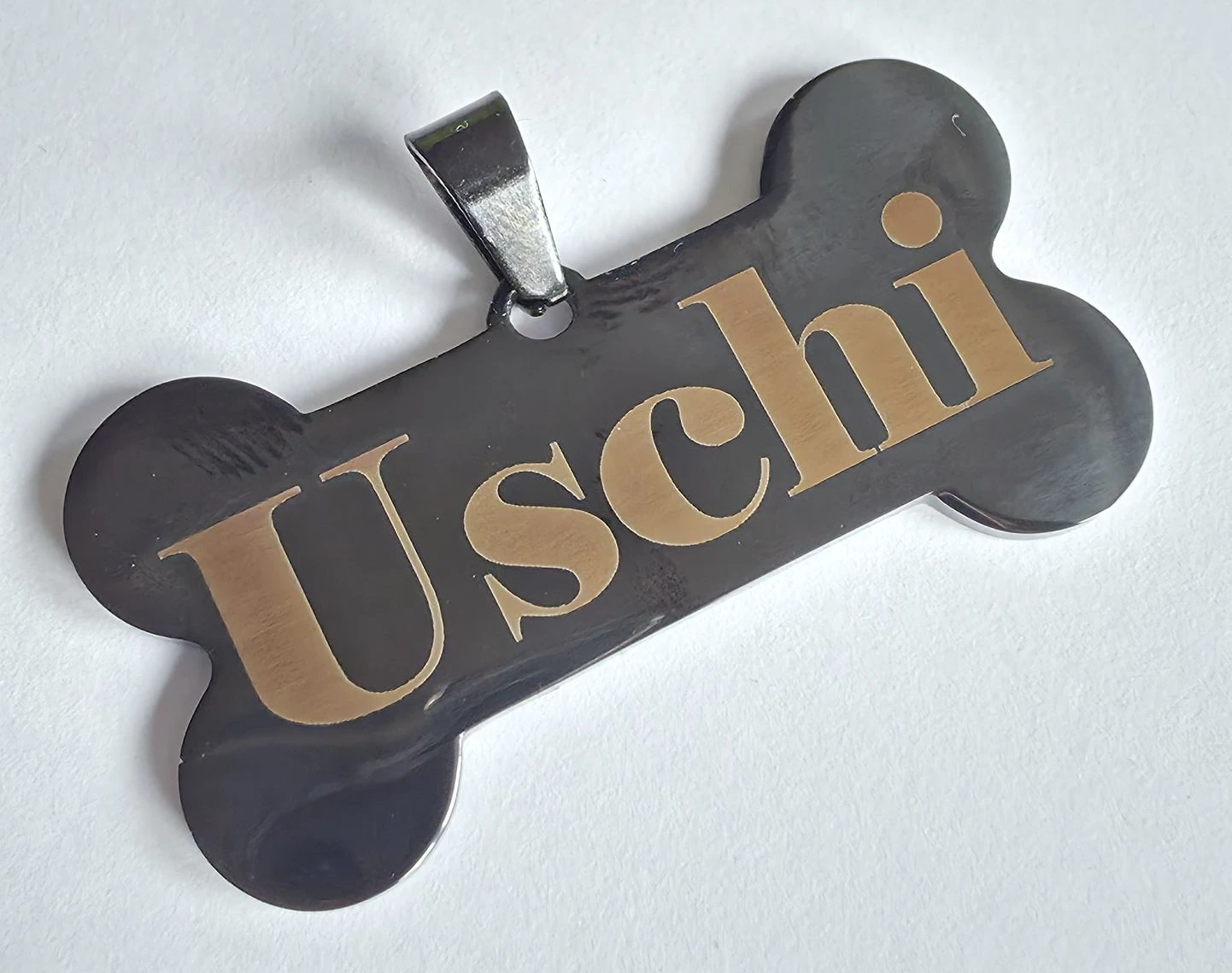 Collier chien