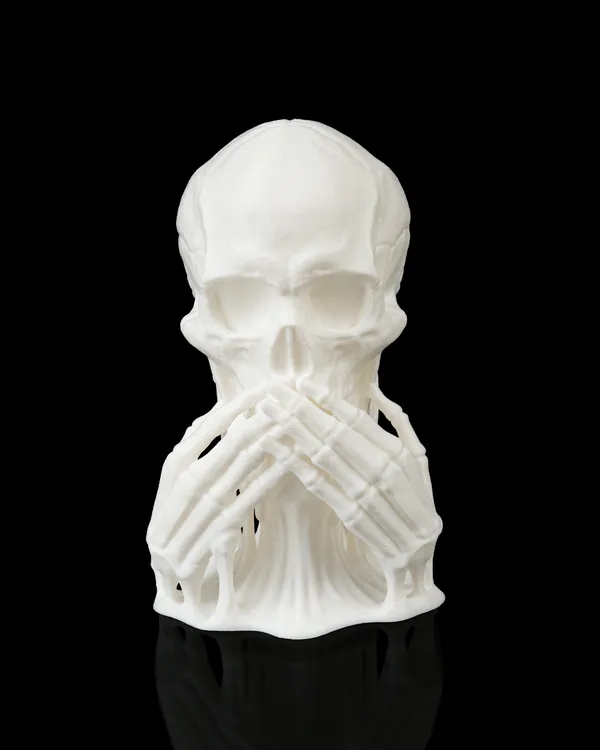 Crânes imprimés en 3D – Ne rien entendre, ne rien voir, ne rien dire 3.webp