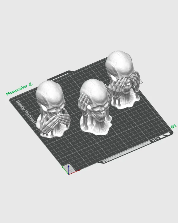 Crânes imprimés en 3D – Ne rien entendre, ne rien voir, ne rien dire 4.webp