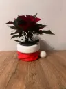 Pot en forme de bonnet de Père Noël